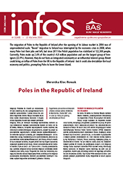 Poles in the Republic of Ireland Cover Image