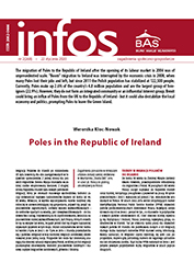 Poles in the Republic of Ireland Cover Image
