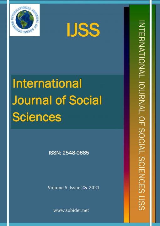 Examining the Effect of the Covid-19 on Financial Reports of Large and Medium Sized Enterprises by Ratio Analysis Method: The Case of Basic Food Production Business Cover Image