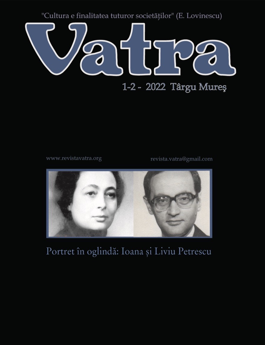 Mirror portrait - Ioana and Liviu Petrescu Cover Image