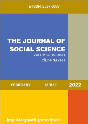 THE CASE OF TURKEY IN SEARCH OF THE NEW ASPECTS OF FINANCIAL DEVELOPMENT: ECONOMIC GROWTH RELATIONSHIP Cover Image