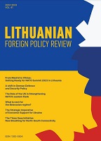 Expert Insights on the NATO Summit in Vilnius 2023 Cover Image