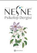 Çocukların Gözünden Ayıp Kavramsallaştırmasının ve İlgili Ahlaki Duyguların Sosyal Alan Kuramı Çerçevesinde İncelenmesi