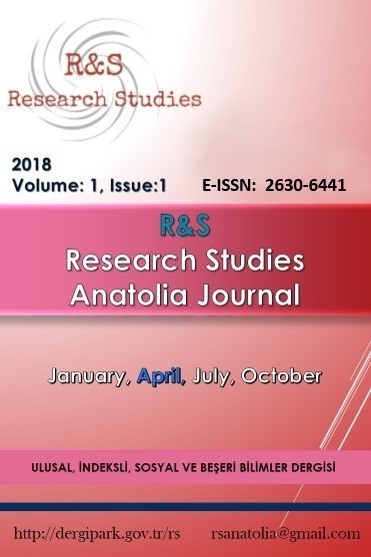 R&S - Research Studies Anatolia Journal Cover Image